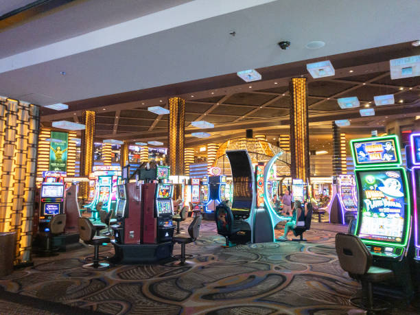 mahadev book whatsapp number